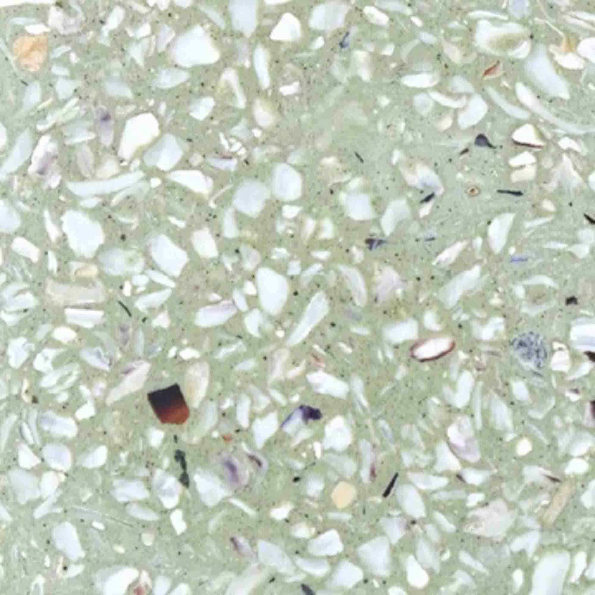 Huîtres granulométrie intermédiaire & pigments verts