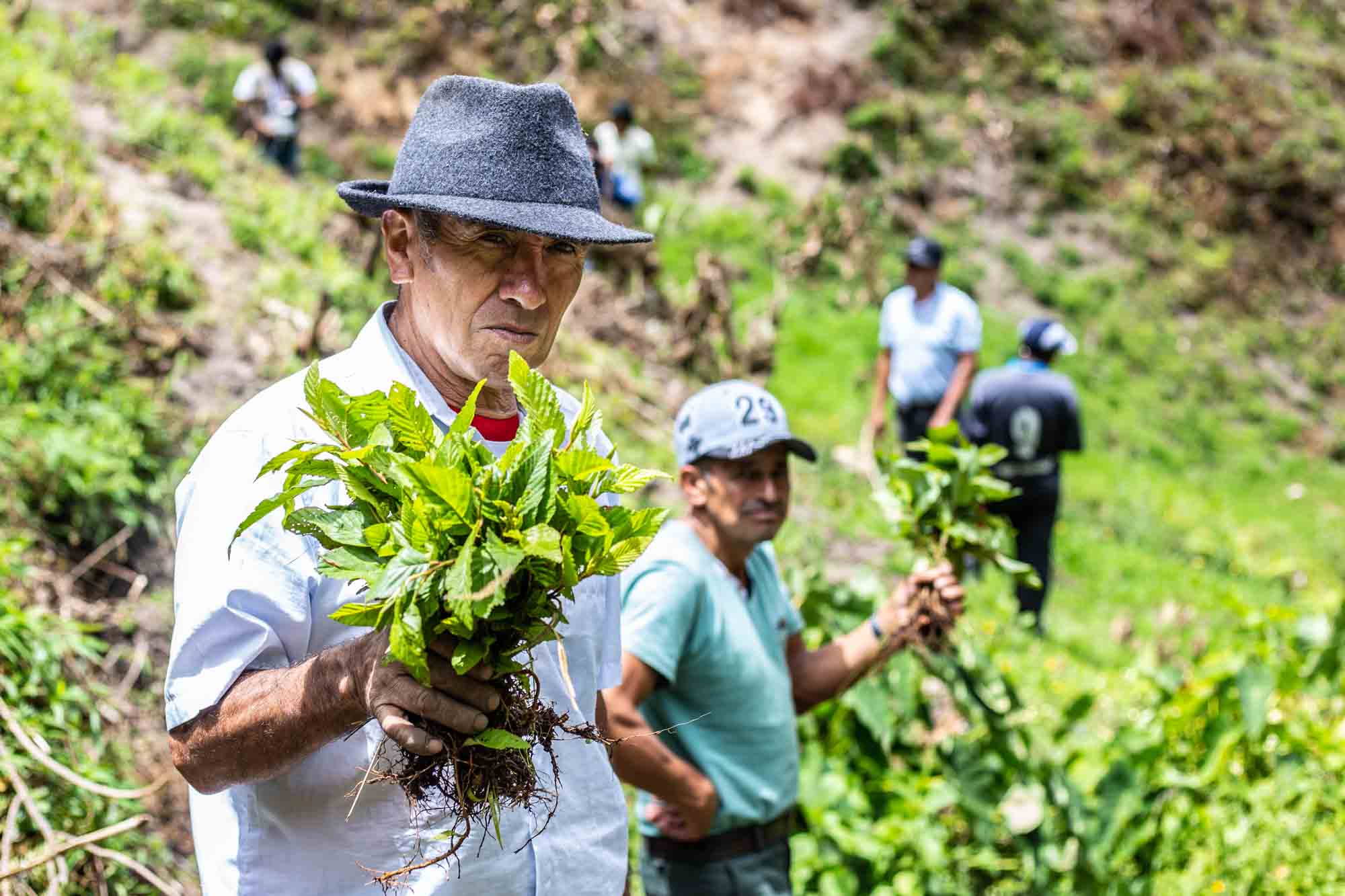 Plantation d'un arbre pour un projet Reforest'Action au Pérou