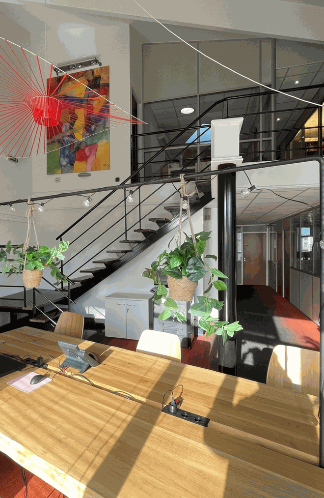 Odoo • Text and Image