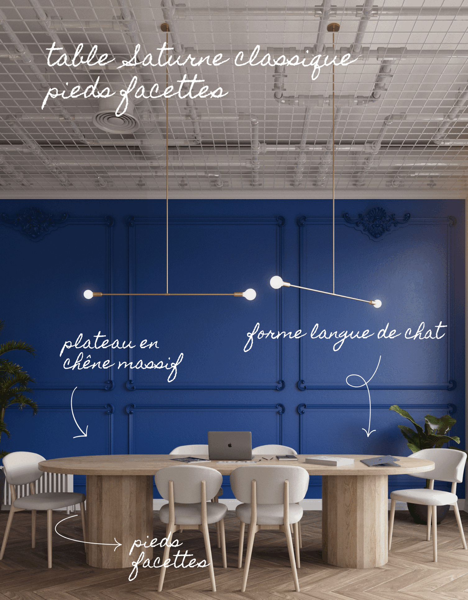 Odoo • Text and Image