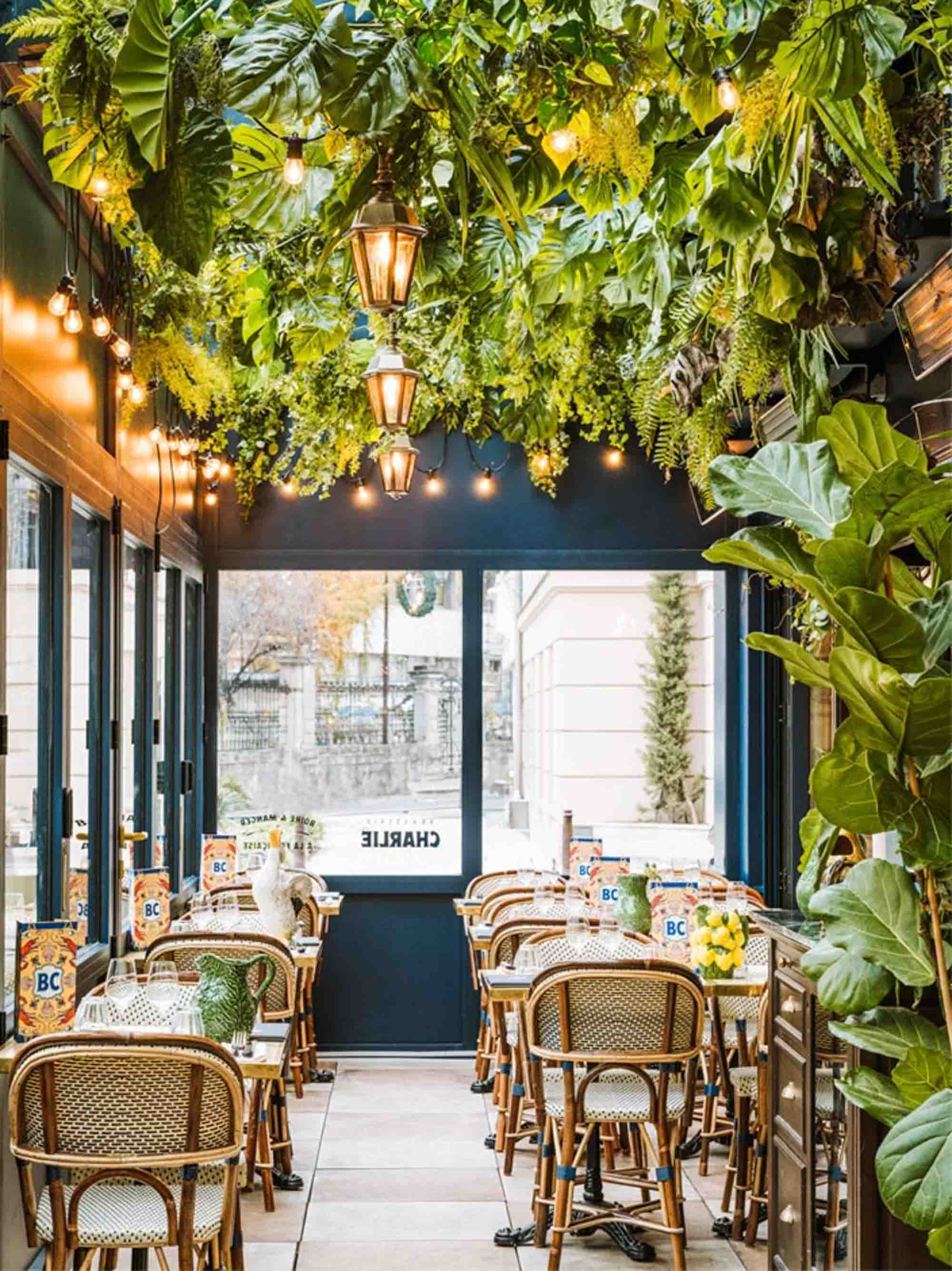 Odoo • Text and Image