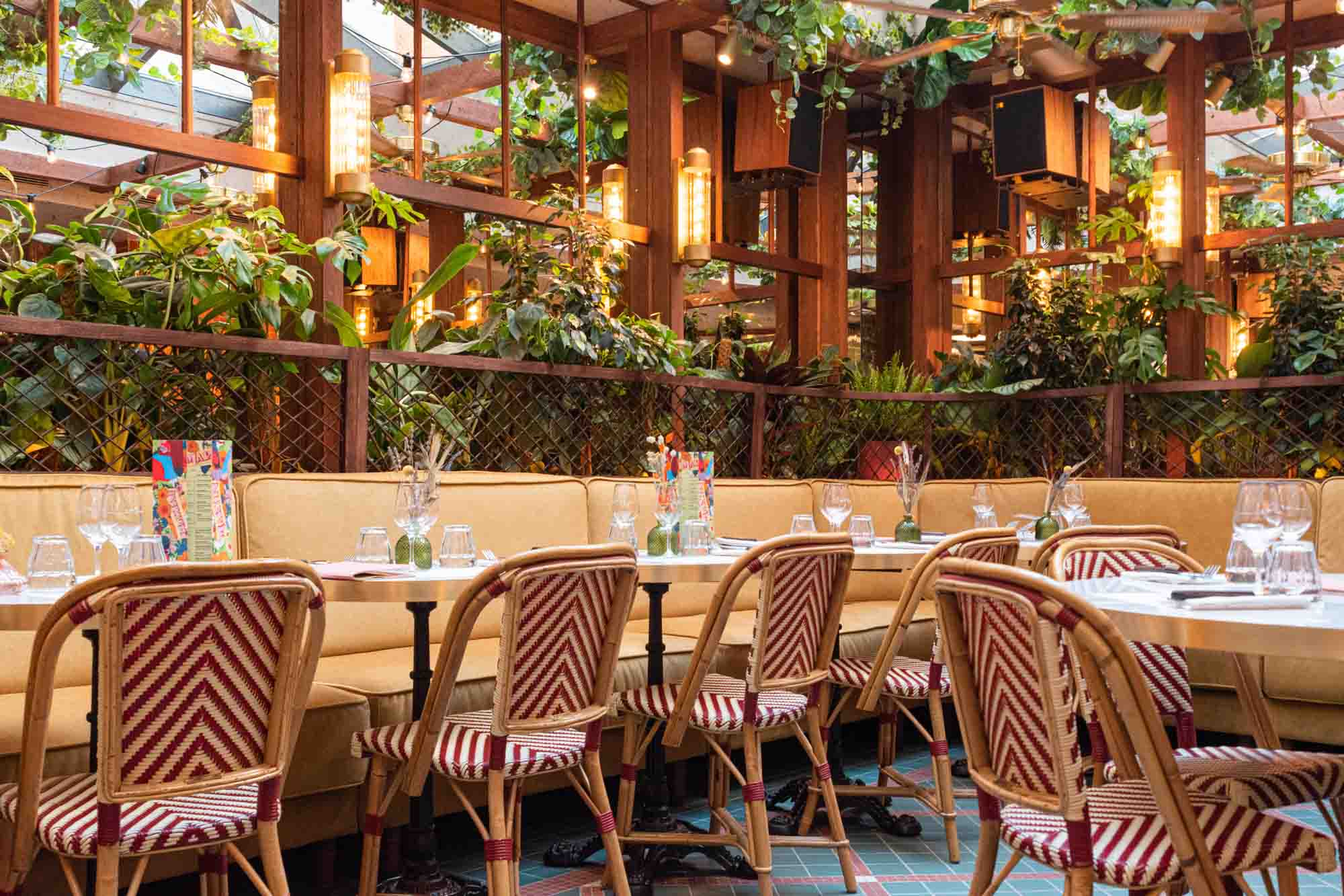 Odoo • A picture with a caption