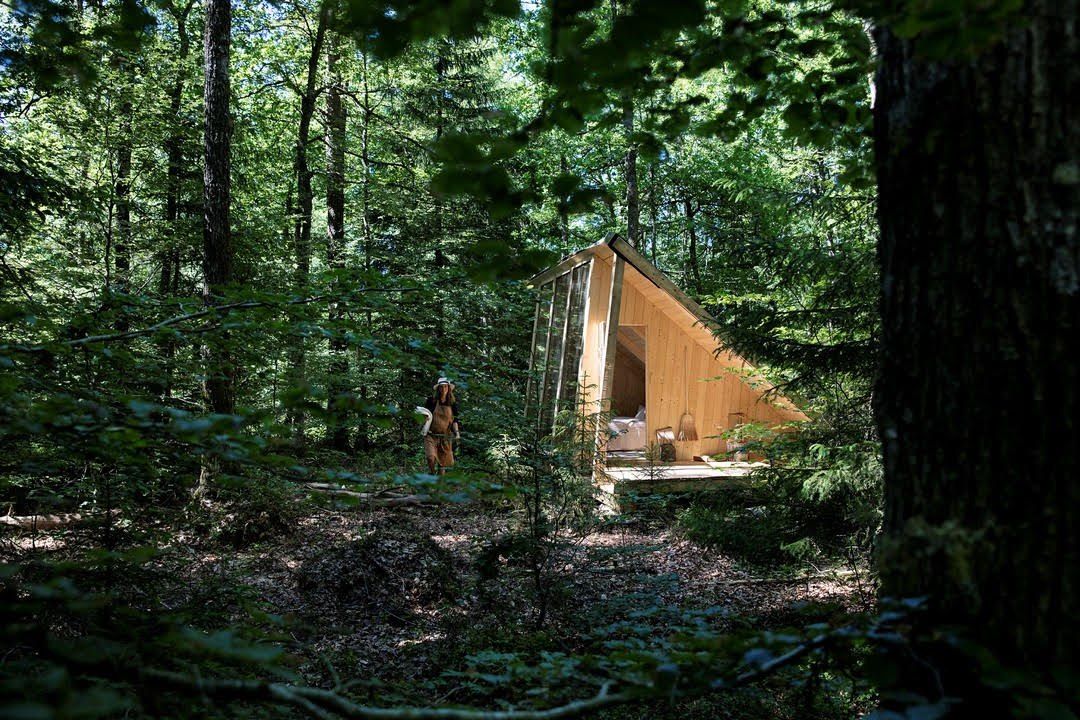 Néo cabanes : la tendance est dans les bois