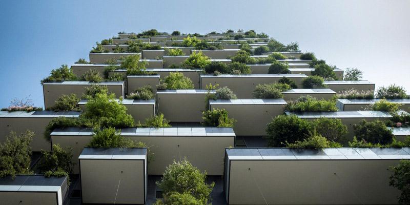 Green Architecture : rapprocher l'homme de la nature