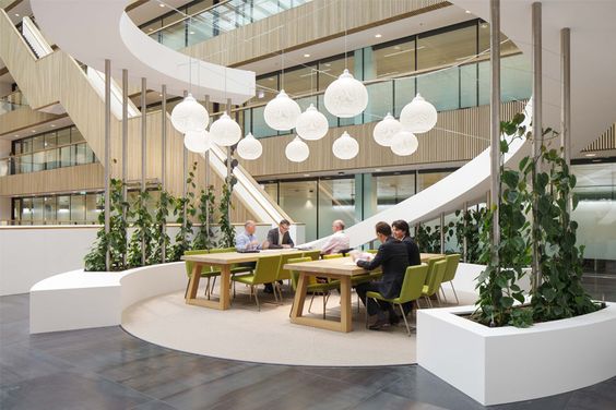 Un espace de co-working armonisé avec des plantes tout autour.