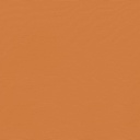 Melon 6062 Melon 6062