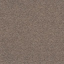 Sera walnut Sera walnut