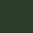 RAL 6020 RAL 6020