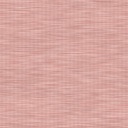 CL4 - BERRY Rose CL4 - BERRY Rose