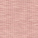 CL4 - MANGO Rose CL4 - MANGO Rose