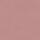 CL5 - OTELLO Rose CL5 - OTELLO Rose