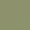 CL6 - DRIES Linden CL6 - DRIES Linden