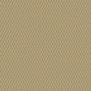 CL6 - DRIES Mais CL6 - DRIES Mais
