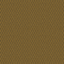 CL6 - DRIES Mustard CL6 - DRIES Mustard