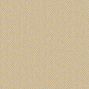 CL6 - HUGO Gold CL6 - HUGO Gold