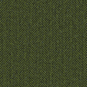 CL6 - HUGO Green CL6 - HUGO Green