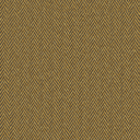 CL6 - HUGO Mustard CL6 - HUGO Mustard