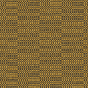 CL6 - VERA Gold CL6 - VERA Gold