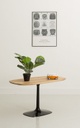 Table basse en noyer pied central 2