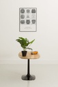 Table basse en noyer pied central 3