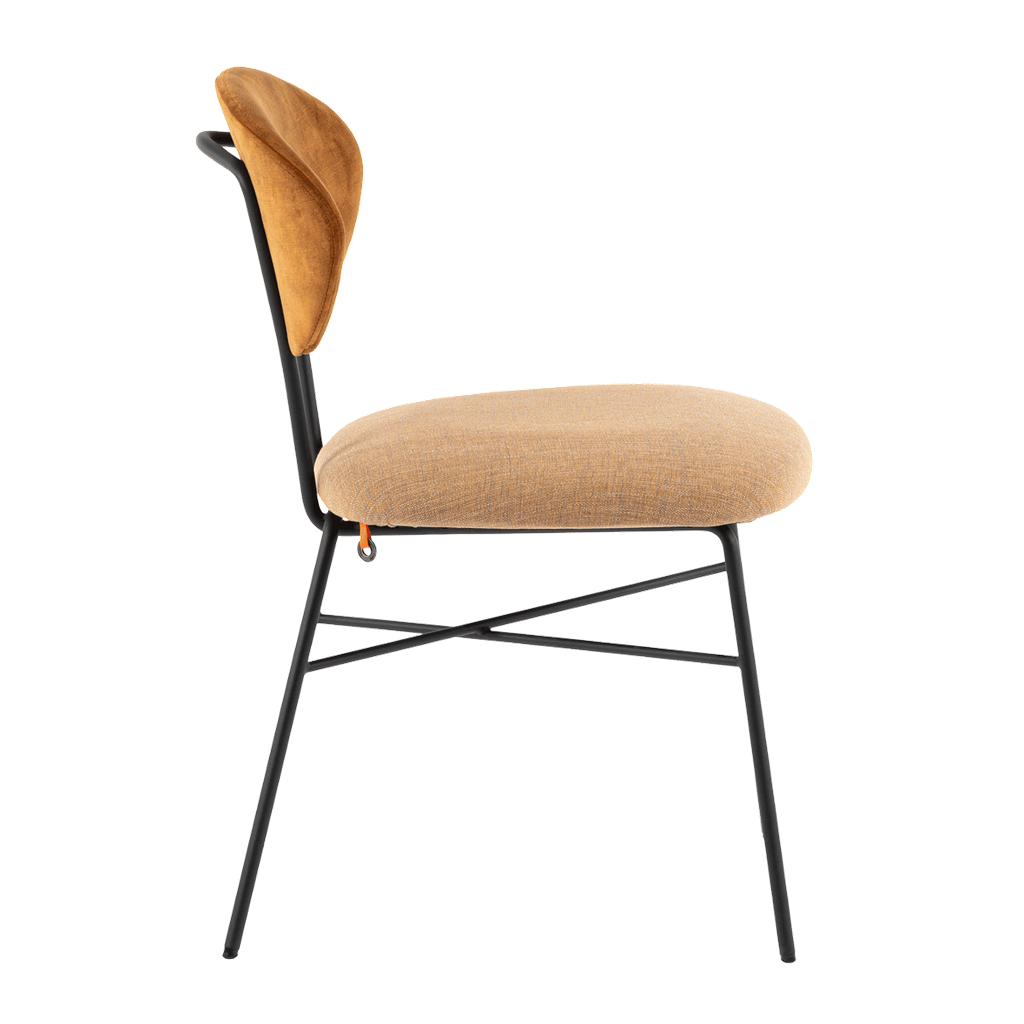 Chaise Toro Bicolore Pied En Métal 1
