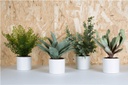 Petites plantes artificielles Cylindres 1