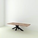 Table Arya pieds XX 1