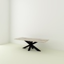 Table Khaleesi bois de grange blanchi pieds XX 1